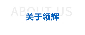 關(guān)于領(lǐng)輝