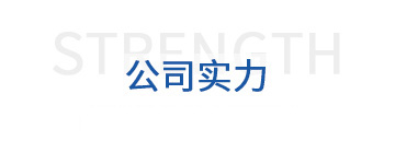 公司實(shí)力
